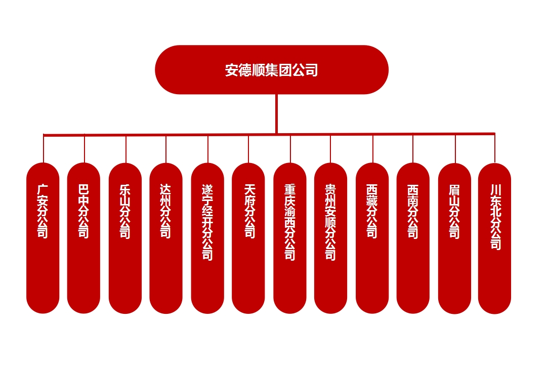 集团公司分支机构